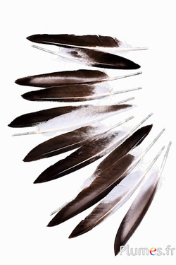 Gans - 12-18 cm - natuurlijk